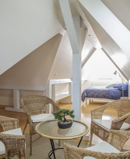 Villa Cosy & SPA Strasbourg une splendide maison d’hôte avec SPA disposant de suites, chambres et appartements agréables.