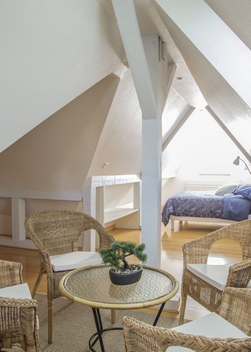 Villa Cosy & SPA Strasbourg une splendide maison d’hôte avec SPA disposant de suites, chambres et appartements agréables.